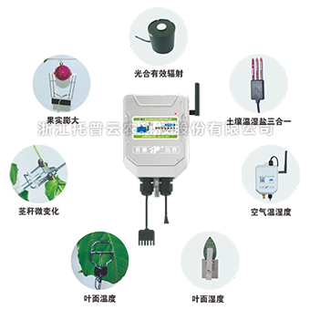 /product/detail/65.html /product/detail/65.html