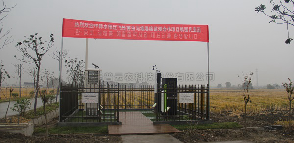 草莓视频软件下载水稻病虫害绿色防控智能监测设备 草莓视频软件下载水稻病虫害绿色防控智能监测设备