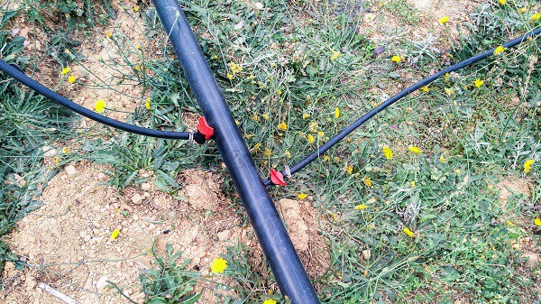 水肥一体化 水肥一体化