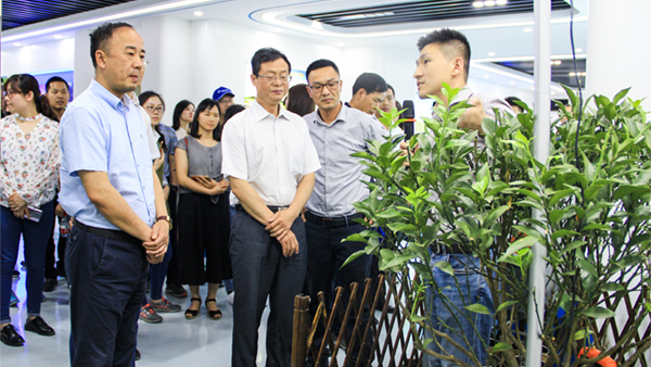 谢主任一行参观草莓视频软件下载展厅 谢主任一行参观草莓视频软件下载展厅