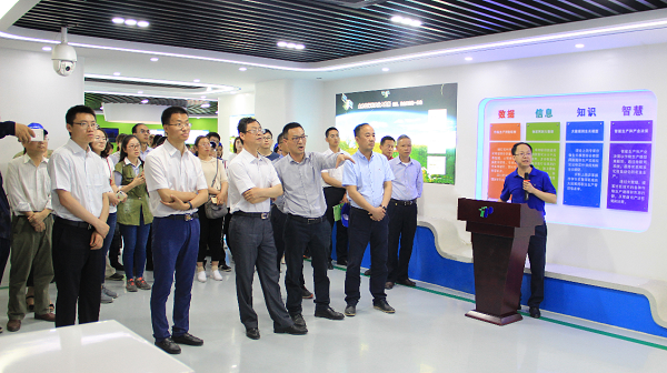 谢主任一行参观草莓视频软件下载展厅 谢主任一行参观草莓视频软件下载展厅