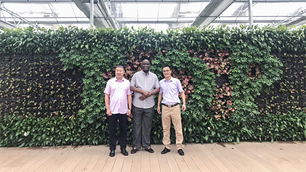 尼日利亚农业银行行长来访草莓视频软件下载 尼日利亚农业银行行长来访草莓视频软件下载