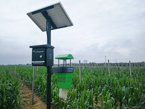 风吸式杀虫灯 风吸式杀虫灯