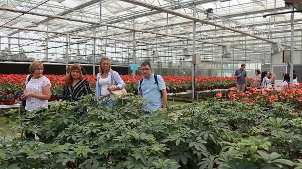 研修班一行来到由草莓视频软件下载与萧山农科所联合搭建的现代农业产业园进行考察 研修班一行来到由草莓视频软件下载与萧山农科所联合搭建的现代农业产业园进行考察