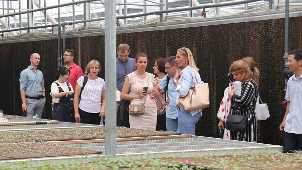 研修班一行来到由草莓视频软件下载与萧山农科所联合搭建的现代农业产业园进行考察 研修班一行来到由草莓视频软件下载与萧山农科所联合搭建的现代农业产业园进行考察