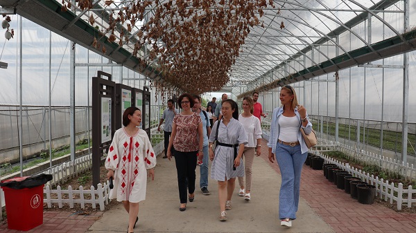 研修班一行来到由草莓视频软件下载与萧山农科所联合搭建的现代农业产业园进行考察 研修班一行来到由草莓视频软件下载与萧山农科所联合搭建的现代农业产业园进行考察