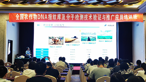 2019全国草莓在线观看视频免费永久网站检验技术培训班在杭召开 2019全国草莓在线观看视频免费永久网站检验技术培训班在杭召开