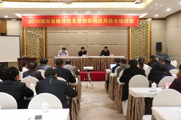 草莓视频软件下载服务湖南省植保信息技术培训班在杭开班 草莓视频软件下载服务湖南省植保信息技术培训班在杭开班