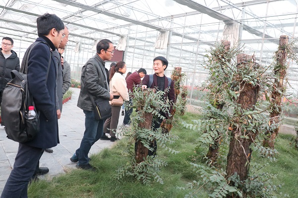 培训班参观草莓视频软件下载临浦基地 培训班参观草莓视频软件下载临浦基地