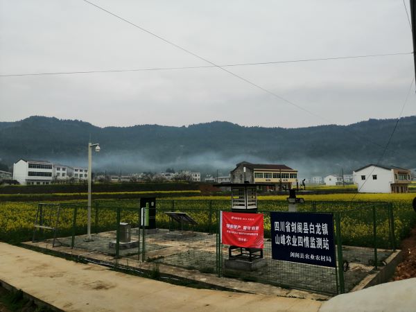 草莓视频软件下载病虫害监测点 草莓视频软件下载病虫害监测点