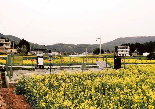草莓视频软件下载病虫害监测点 草莓视频软件下载病虫害监测点