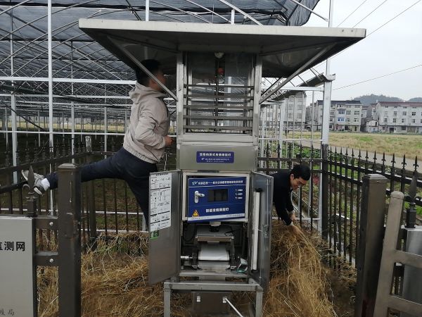 偶尔化身“武林高手” 偶尔化身“武林高手”