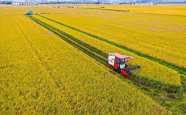 古林大田数字农业项目建设成效 古林大田数字农业项目建设成效