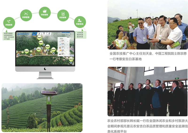 安吉茶园物联网 安吉茶园物联网