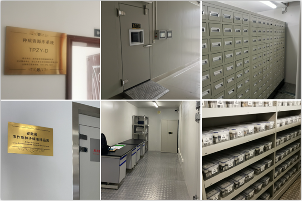 1650244415501858.png 草莓视频软件下载种质资源库案例.png