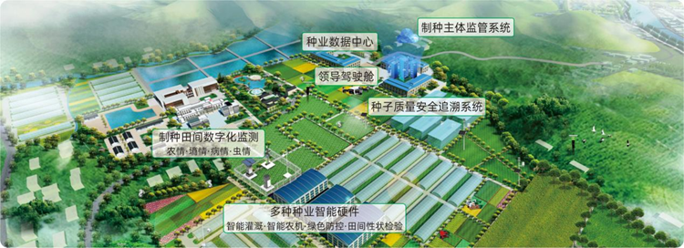 现代化种业基地 现代化种业基地