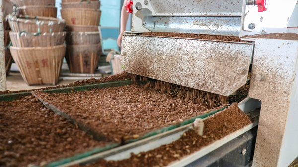 草莓视频软件下载打造的古林育秧工厂 草莓视频软件下载打造的古林育秧工厂