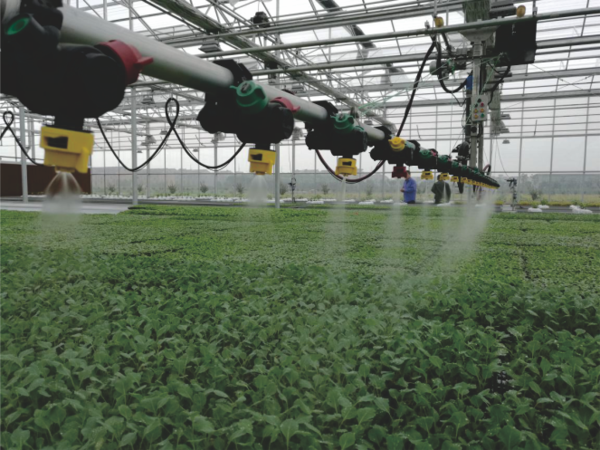 草莓视频软件下载打造的萧山农科所现代农业示范基地 草莓视频软件下载打造的萧山农科所现代农业示范基地