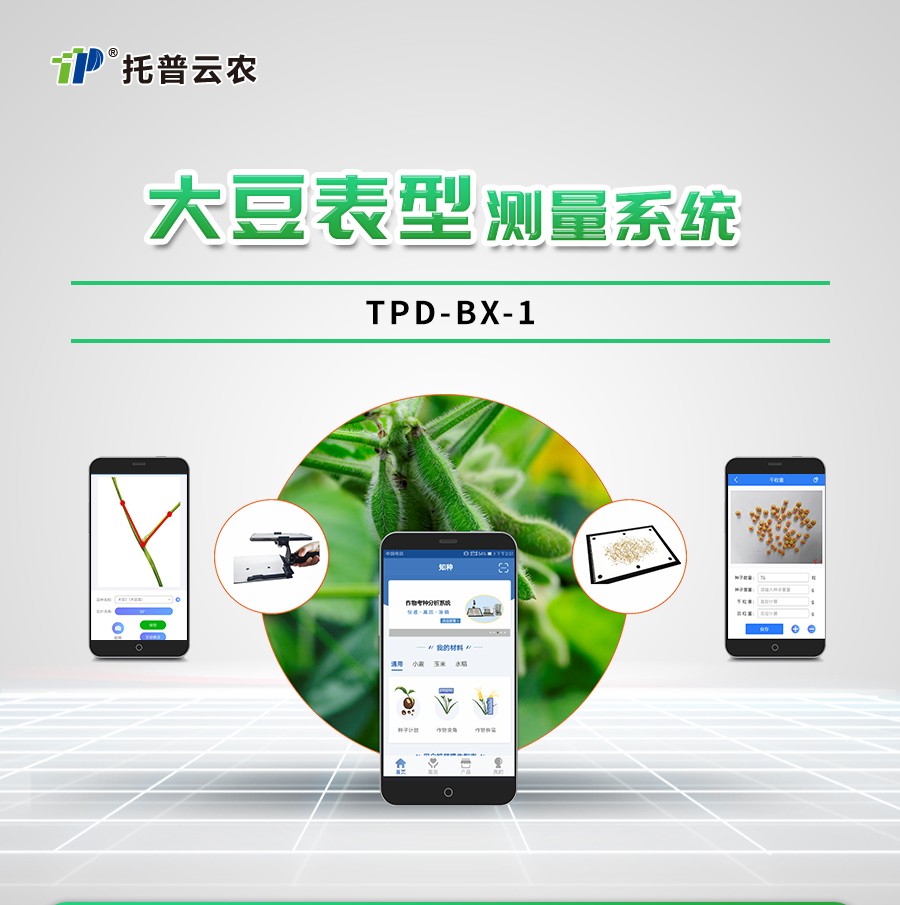 大豆表型检测仪 大豆表型检测仪