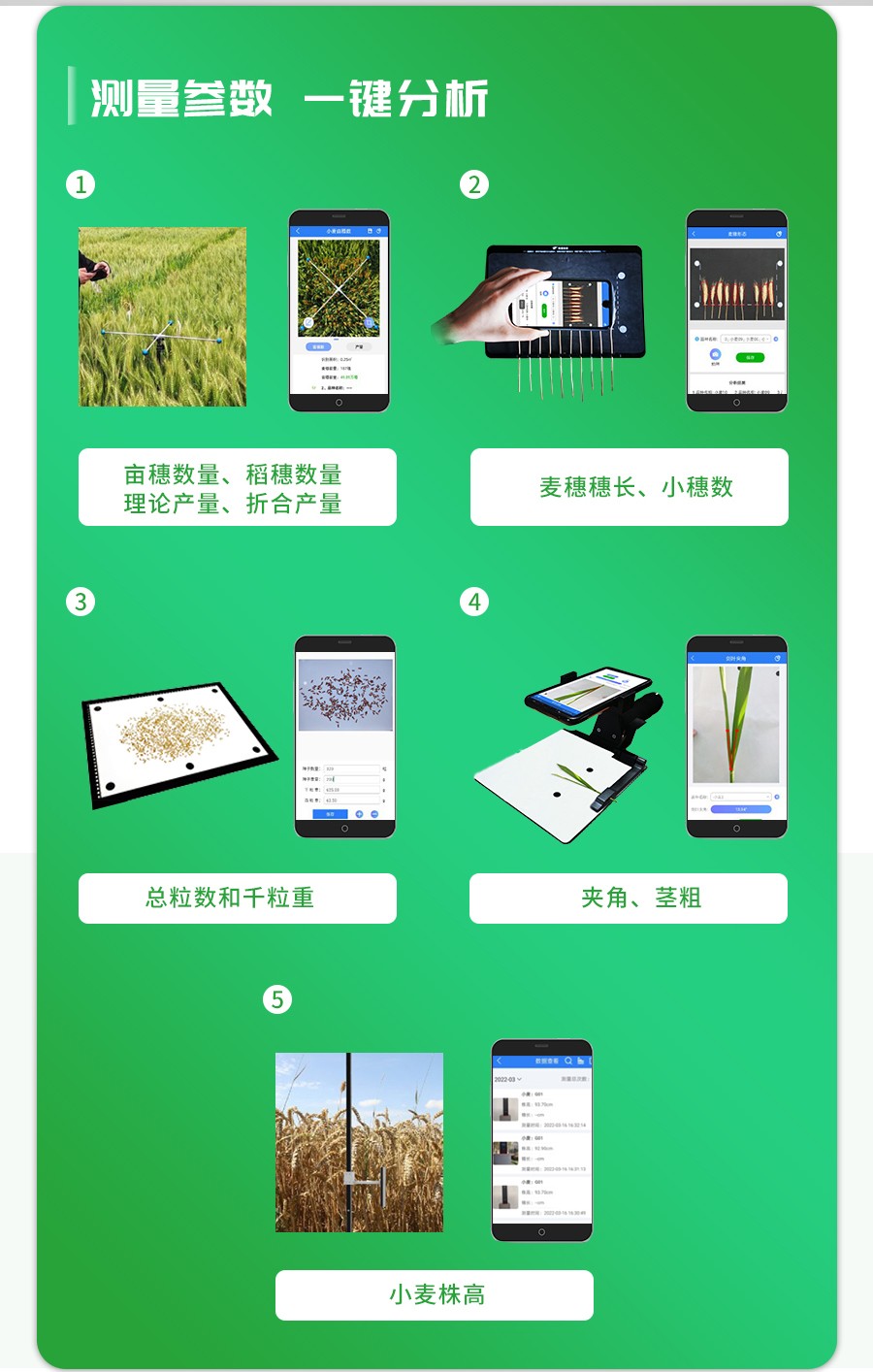小麦表型检测仪 小麦表型检测仪
