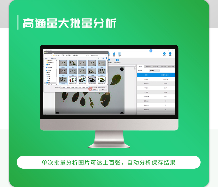 拍照式叶面积测量仪 拍照式叶面积测量仪