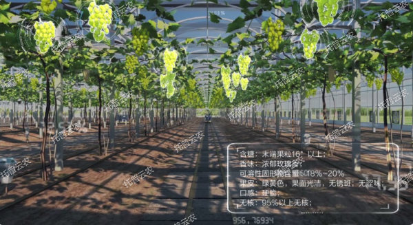 1685947078556654.jpg 2.jpg