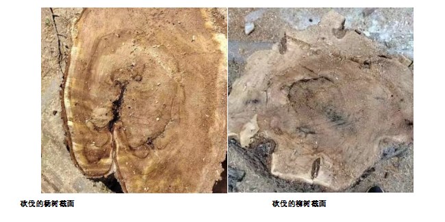 1688534901605719.jpg 2.jpg