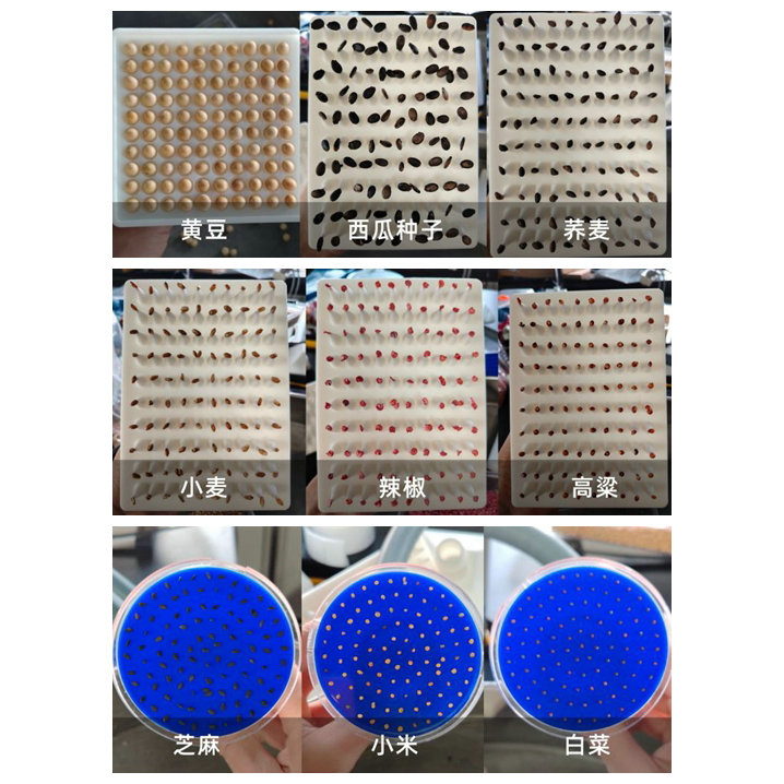 1693466518811542.jpg 2.jpg