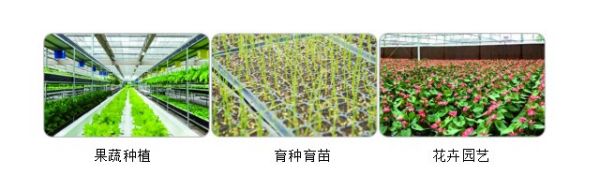 1695025723323823.jpg 1.jpg