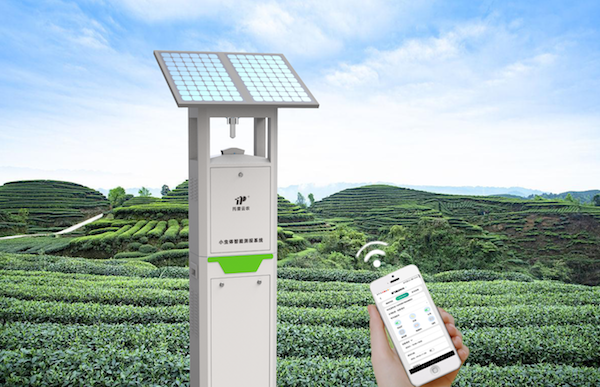 1695450506153802.png 小虫体自动测报系统.png