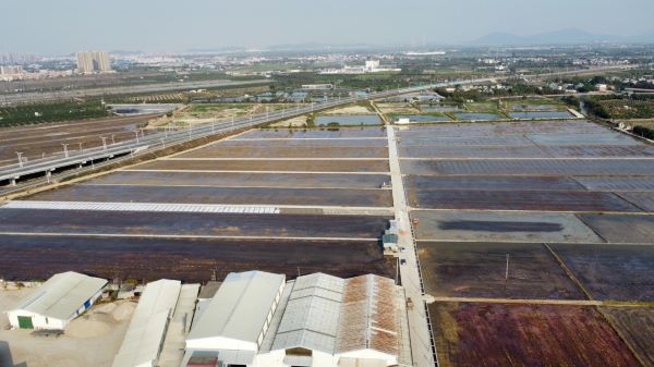 1699434097739878.jpg 江门.jpg