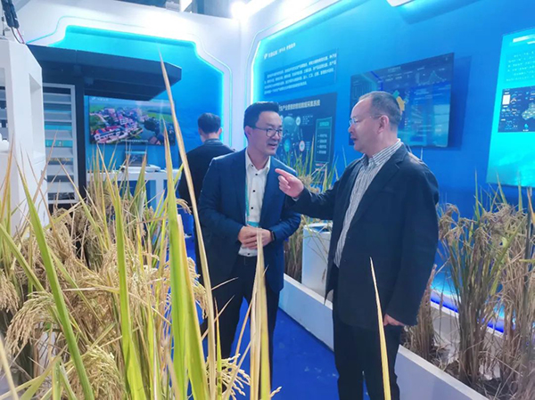 1699606661369889.jpg SEO用图8.jpg