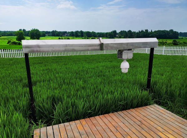 1699607493114353.jpg 4.jpg