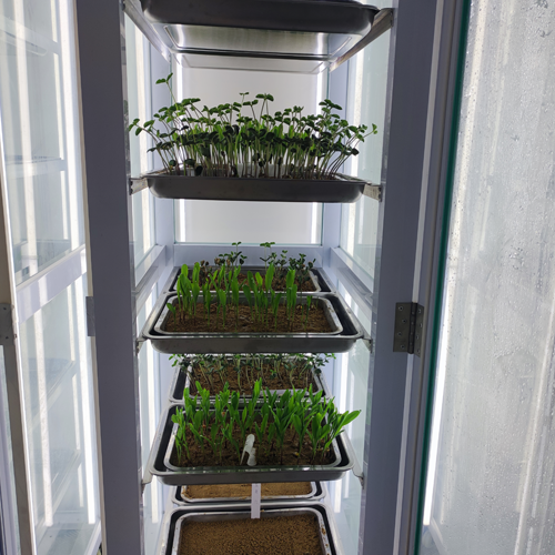 1712903462745017.png 案例2.png