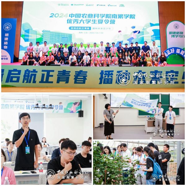 1722501229625968.jpg seo (2).jpg