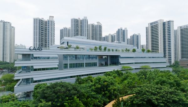 1722933204854340.jpg SEO1.jpg