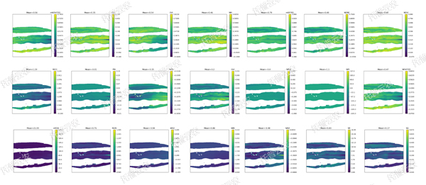 1722996312416651.jpg 温室型高通量植物表型采集分析平台-高光谱-玉米叶.jpg