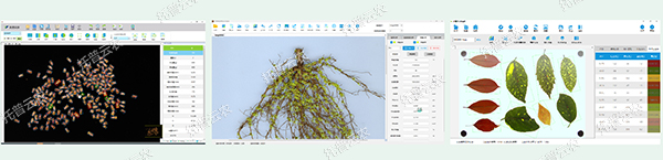 1724142780348699.jpg 5.jpg