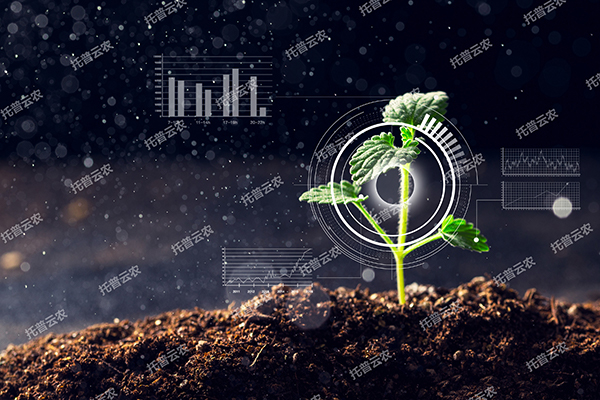 1725441443516136.jpg 2.jpg