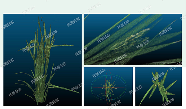 1725441572206303.jpg 5.jpg