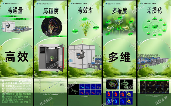 1725441664278509.png 8.png