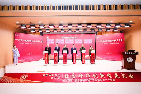 1736759465803939.jpg 1.jpg